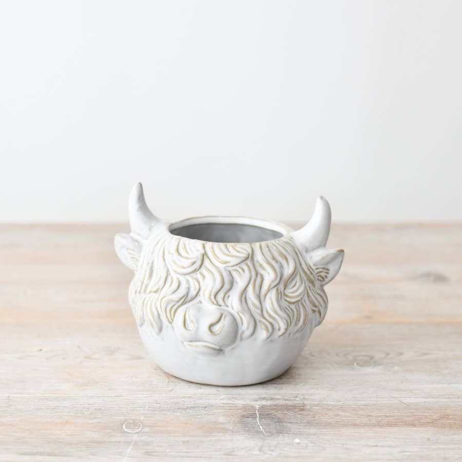 Highland Cow Plant Pot, 14cm