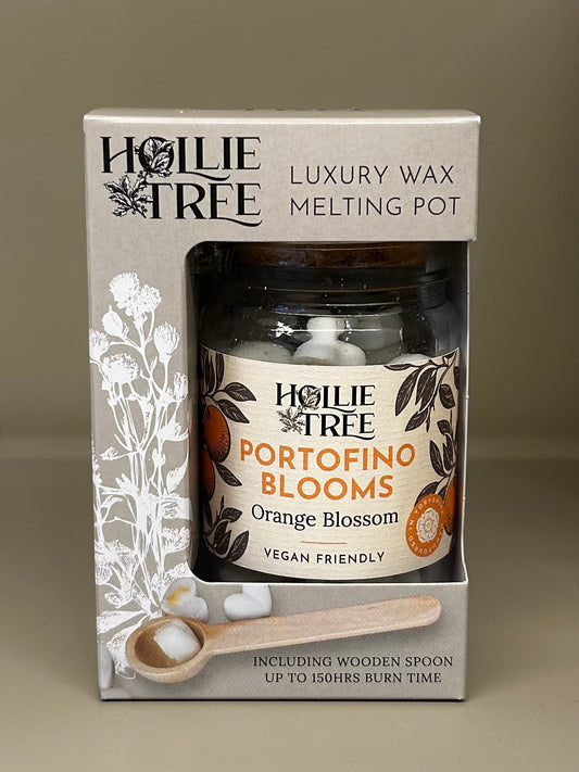 Mini Melting Pot Wax Melts