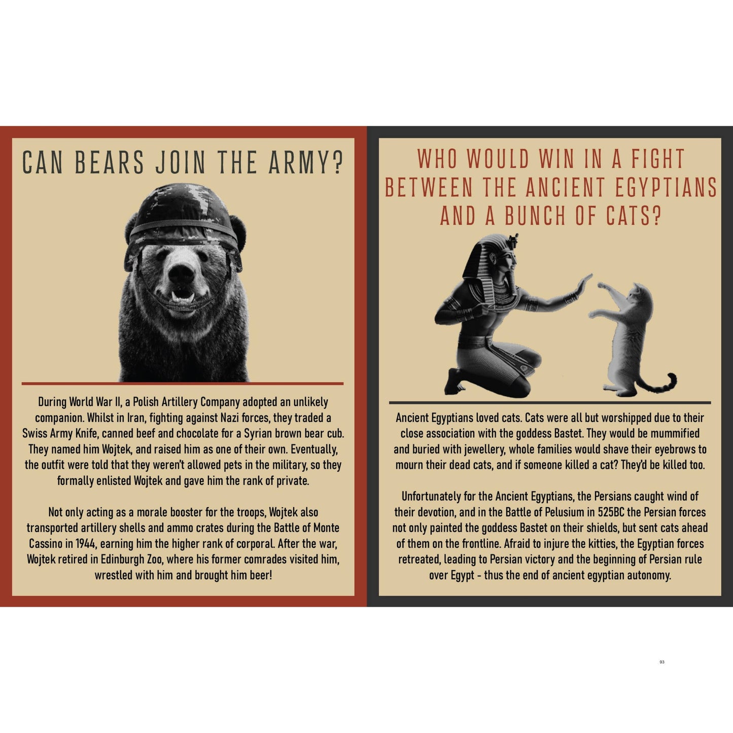 Curious Man Thoughts: The Funny Gift Book For Men