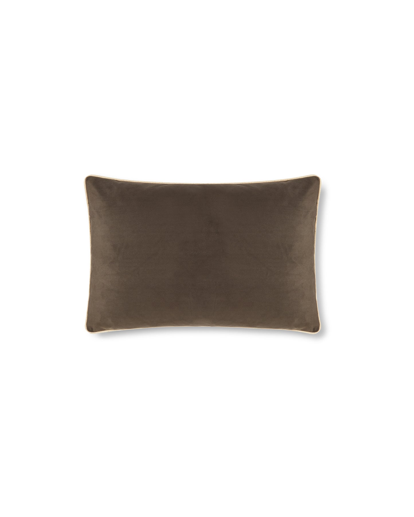 Chalk | Arthur Large Oblong Cushion | Velvet | Mole