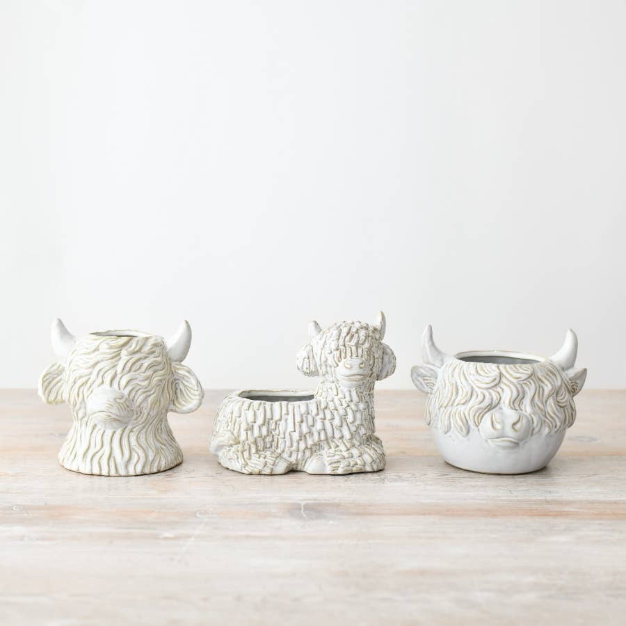 Highland Cow Plant Pot, 14cm