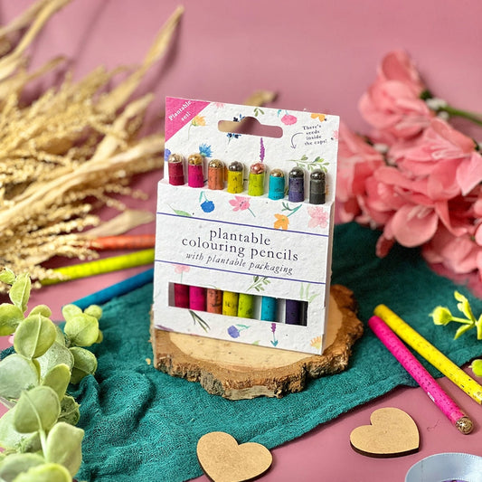 Plantable Colouring Pencils