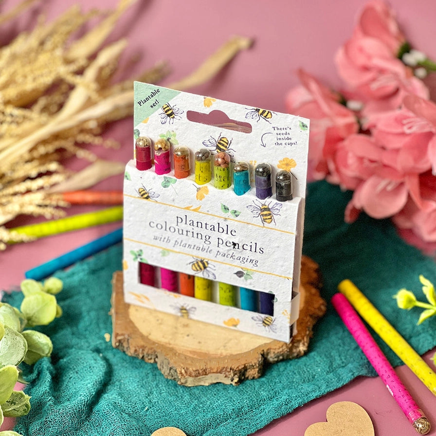 Plantable Colouring Pencils