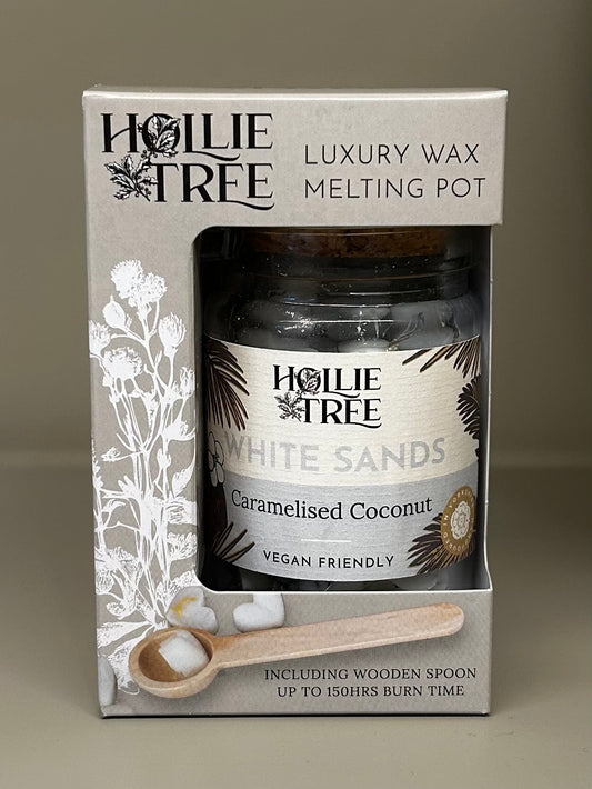 Mini Melting Pot Wax Melts