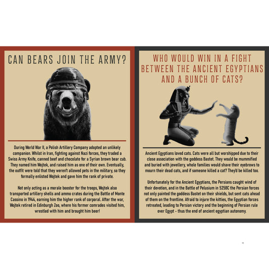 Curious Man Thoughts: The Funny Gift Book For Men