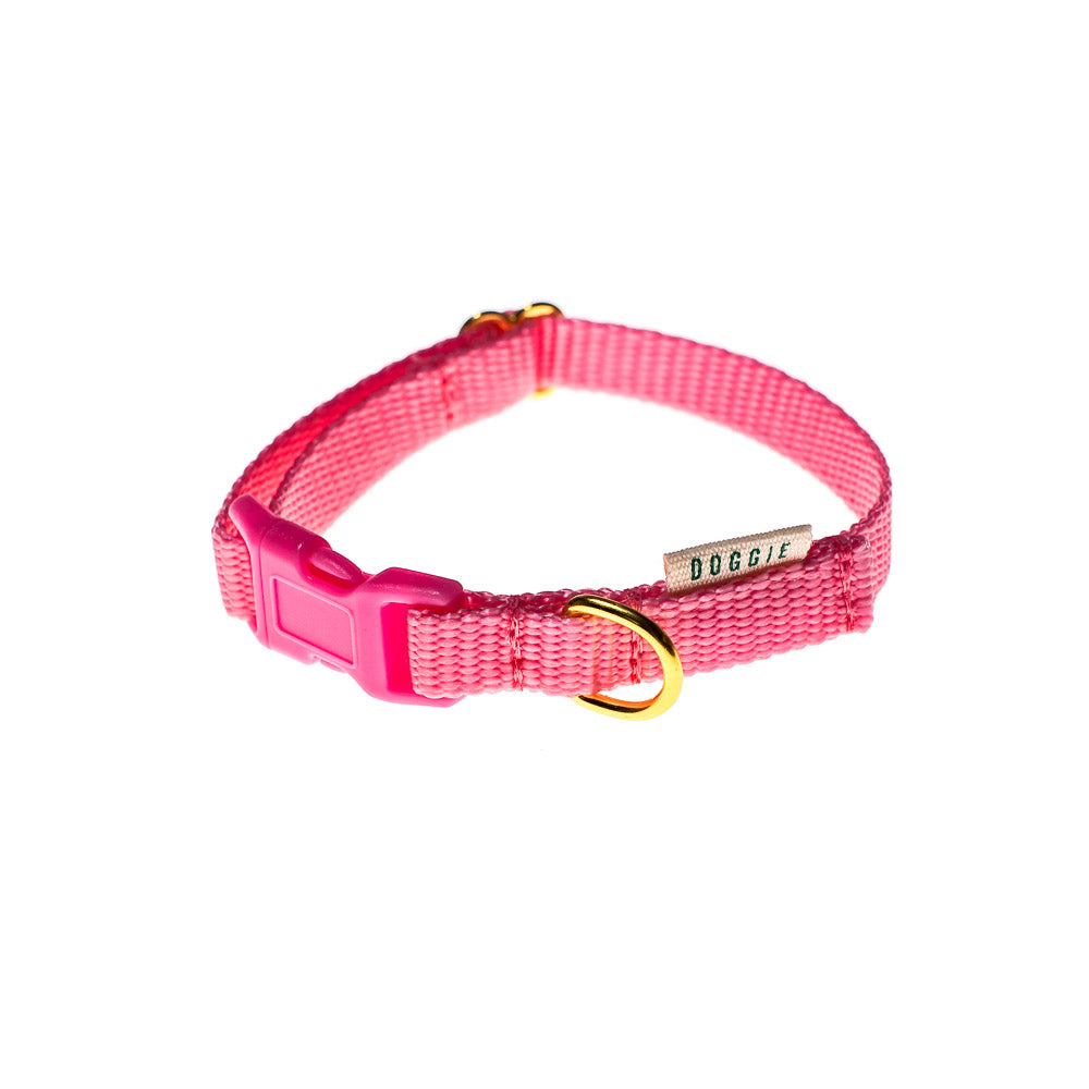 Teeny Dog Collar