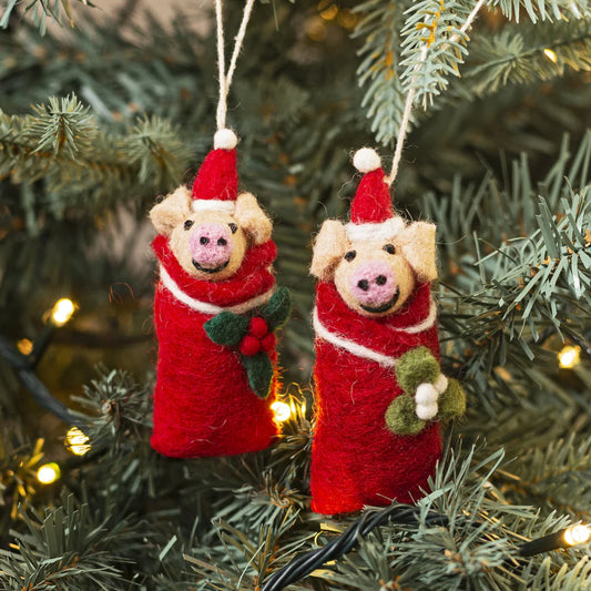 Swaddling Piglets