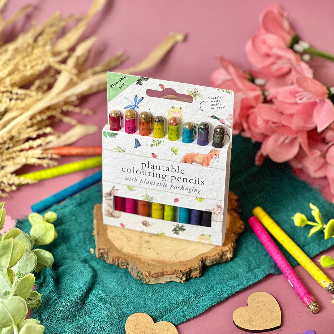 Plantable Colouring Pencils